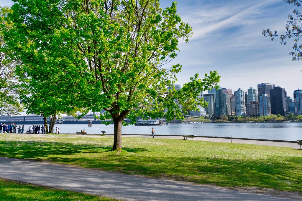 Downtown Vancouver from Stanley Park