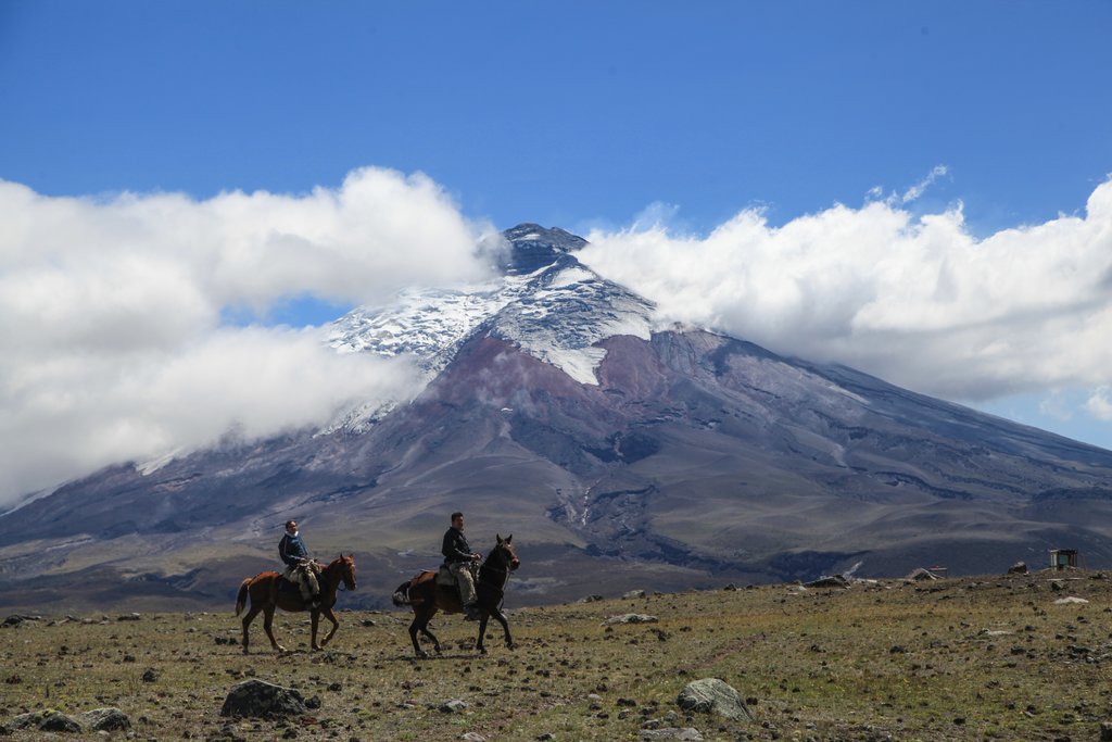 Saddle up to explore Cotopaxi National Park on horseback