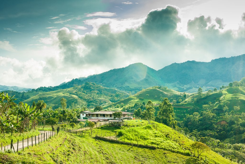 Take a short flight to the lush green countryside of Cocora Valley.