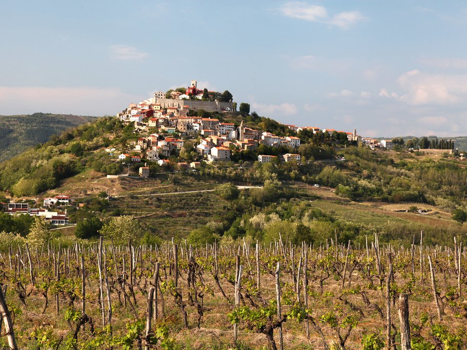 The hilltop town of Motovun