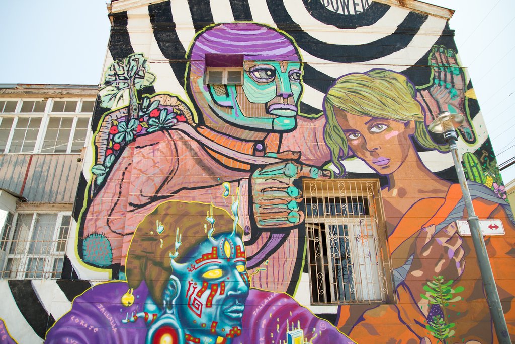 The street art of Valparaiso