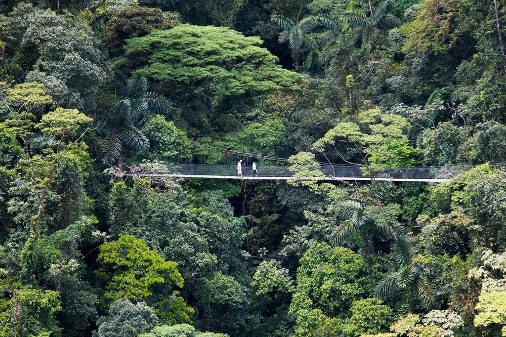 Arenal Hanging Bridges experience
