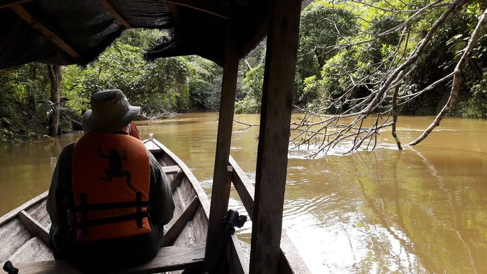River Matamata, Amazon, Colombia