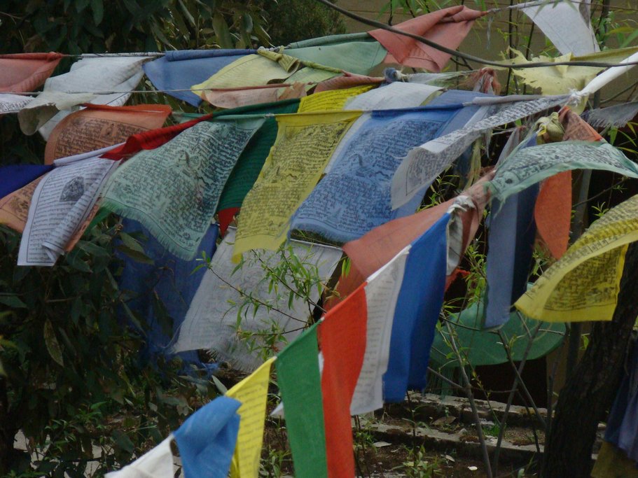 Dharamsala is home to the Tibetan government in exile