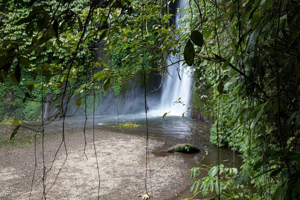 Swim in a majestic hidden waterfall