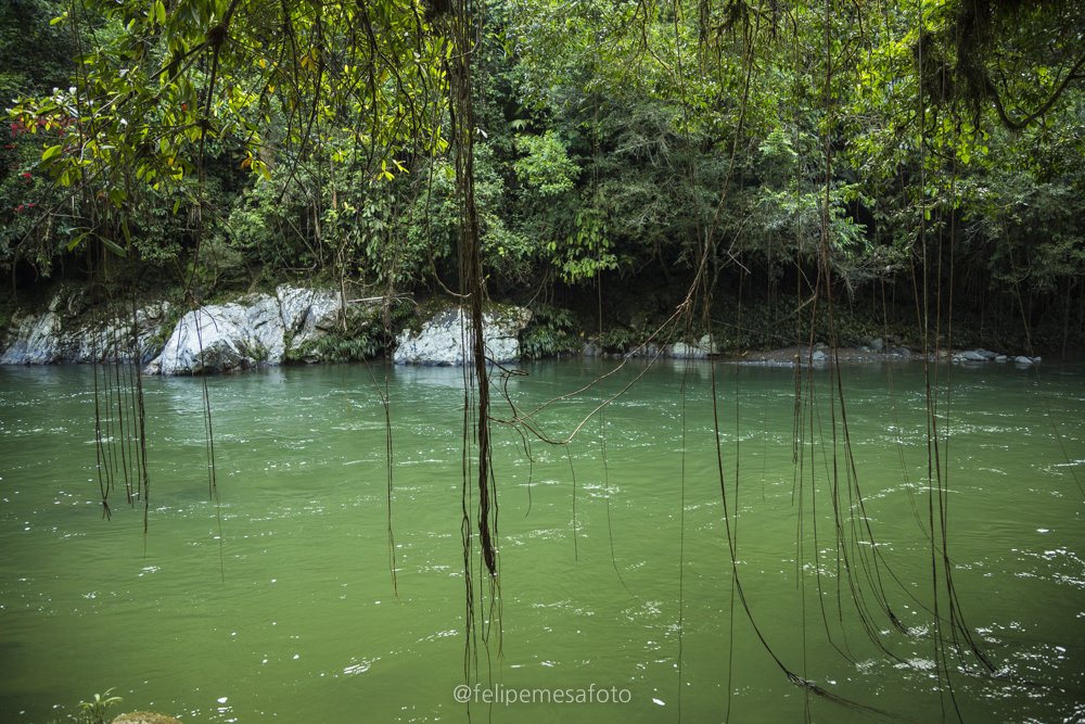Río Samaná