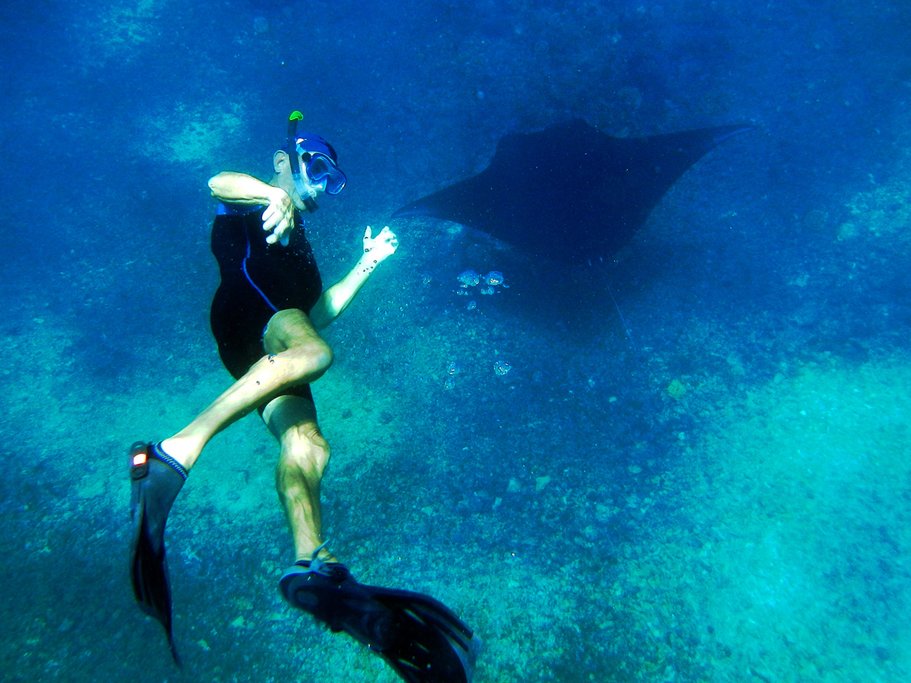 Manta Point, Komodo