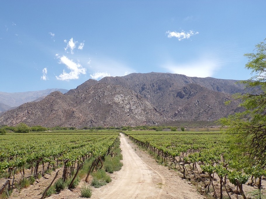 Do some wine tasting in Cafayate