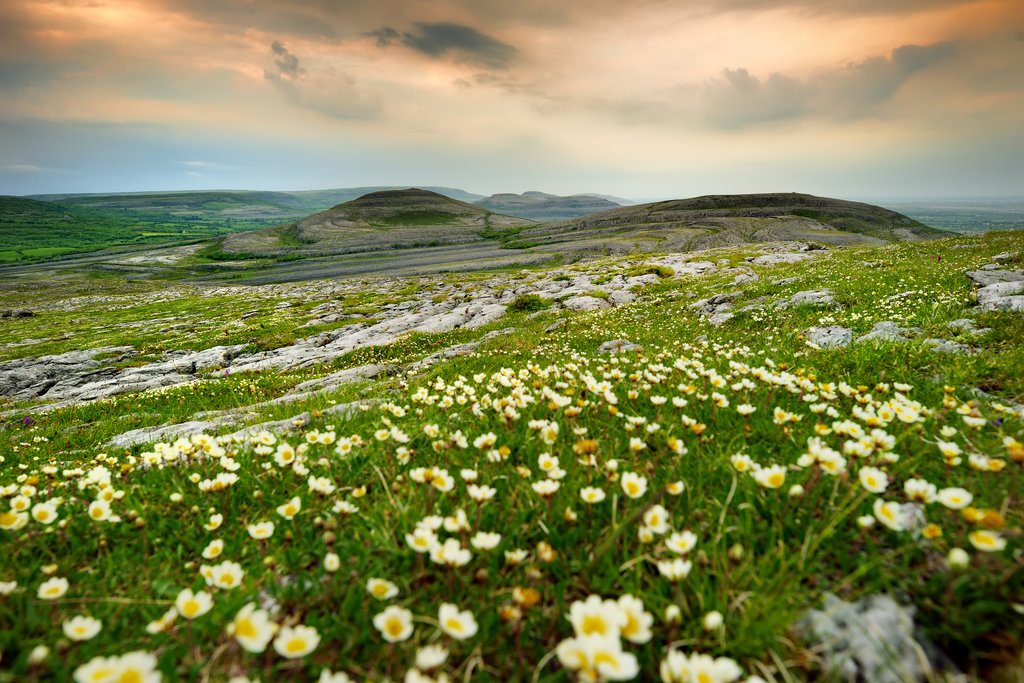 The Burren