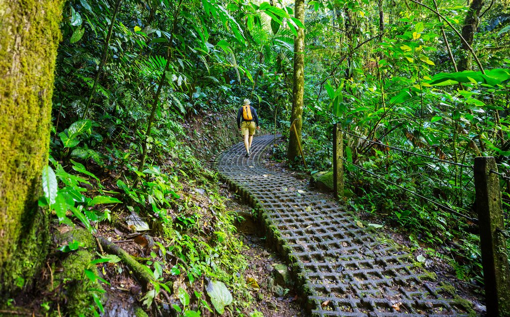 Hiking trail in Arenal National Park