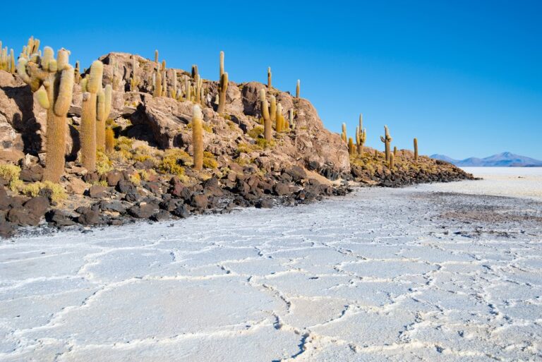 Discover Bolivia's Landscapes - 10 Days