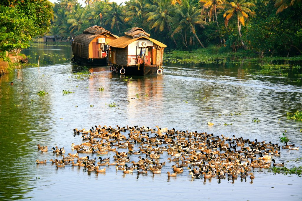 Travel Kerala's backwaters in comfort