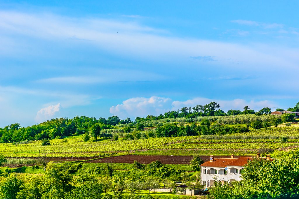 Scenic view at marble landscape in central Istria