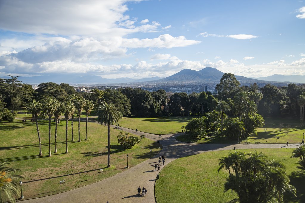 Views of Mt. Vesuvius