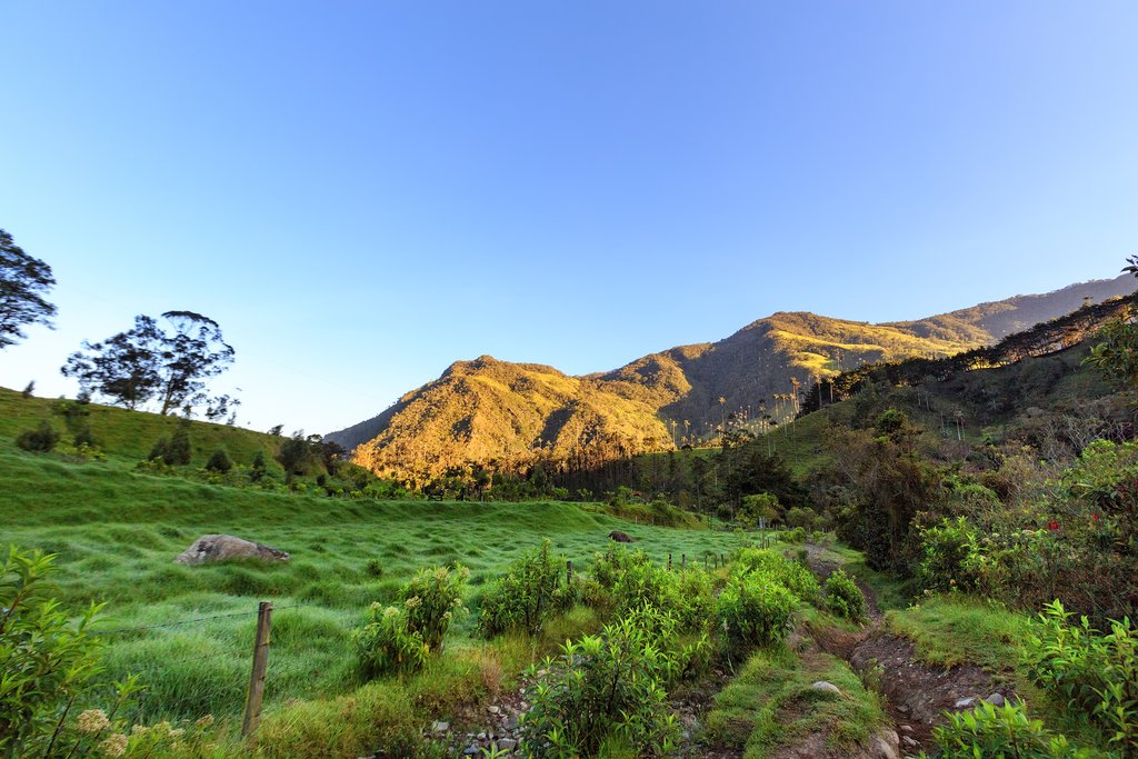 Early morning at Los Nevados National Park