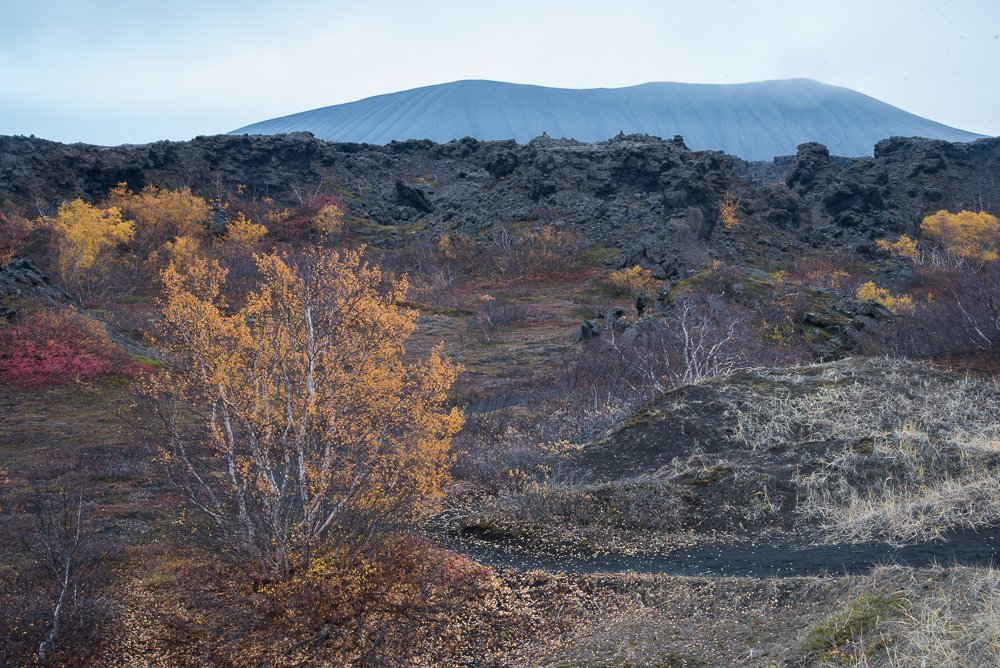 Around Lake Myvatn you can explore lava fields and climb the rim of craters
