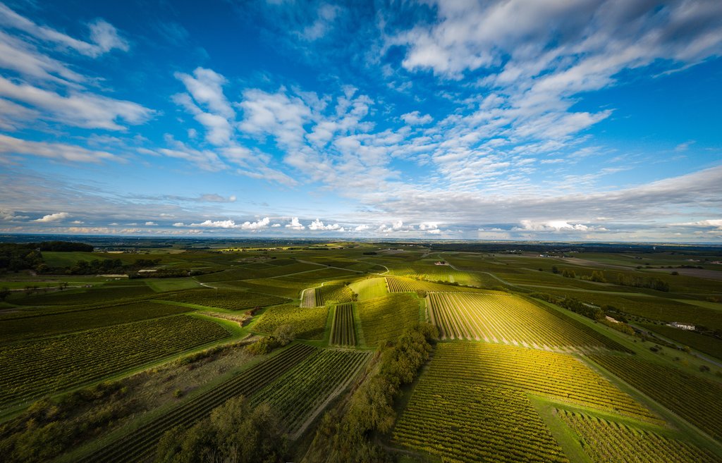 Cognac countryside