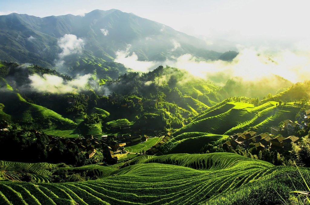 Longsheng Rice Terraces resemble a dragon's scales
