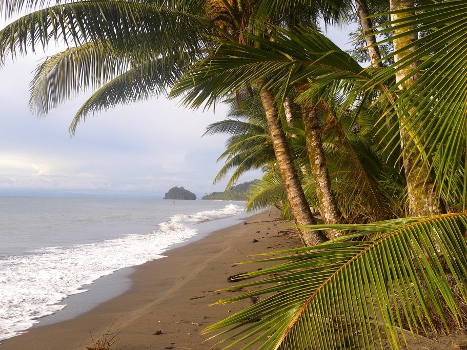 Take a walk on these uncrowded beaches.
