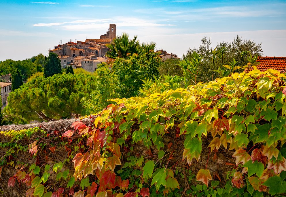 Provençal scenery