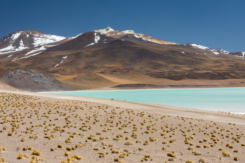 Contrasting colors in Salar de Atacama