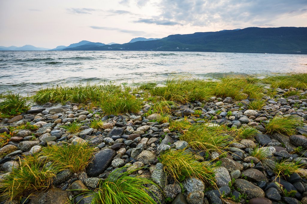 Pacific coast near Powell River