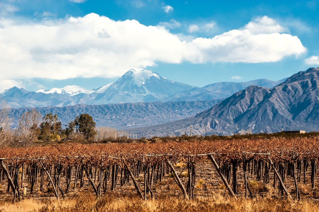 Snow-capped Mount Aconcagua overlooking the Mendoza vineyards