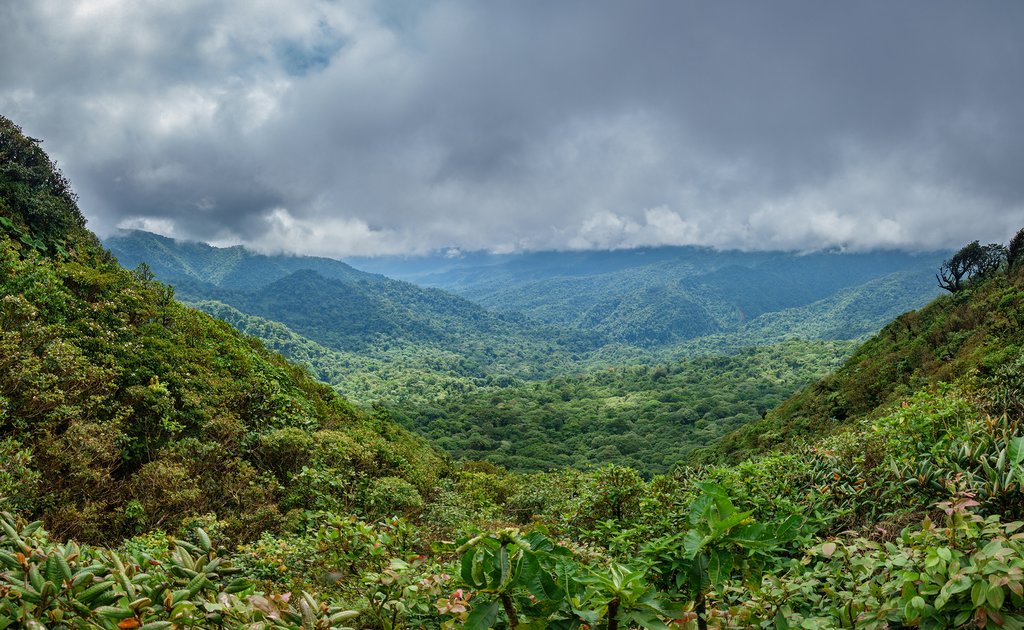 Valley in the mountainous jungles of Costa Rica
