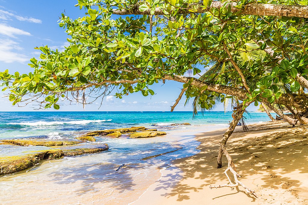 The beach at Punta Uva, Puerto Viejo