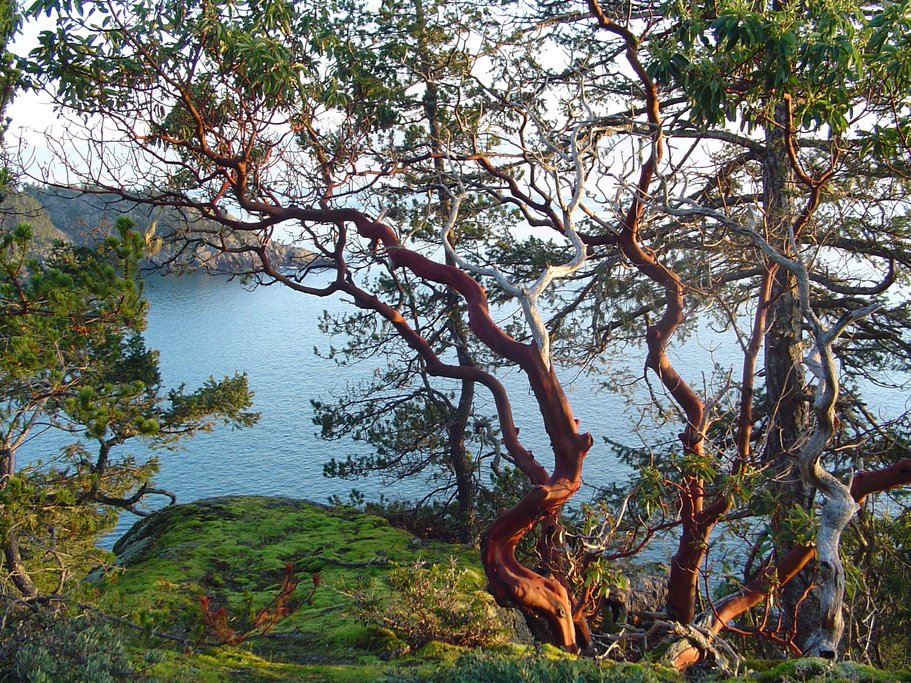 East Sooke Regional Park