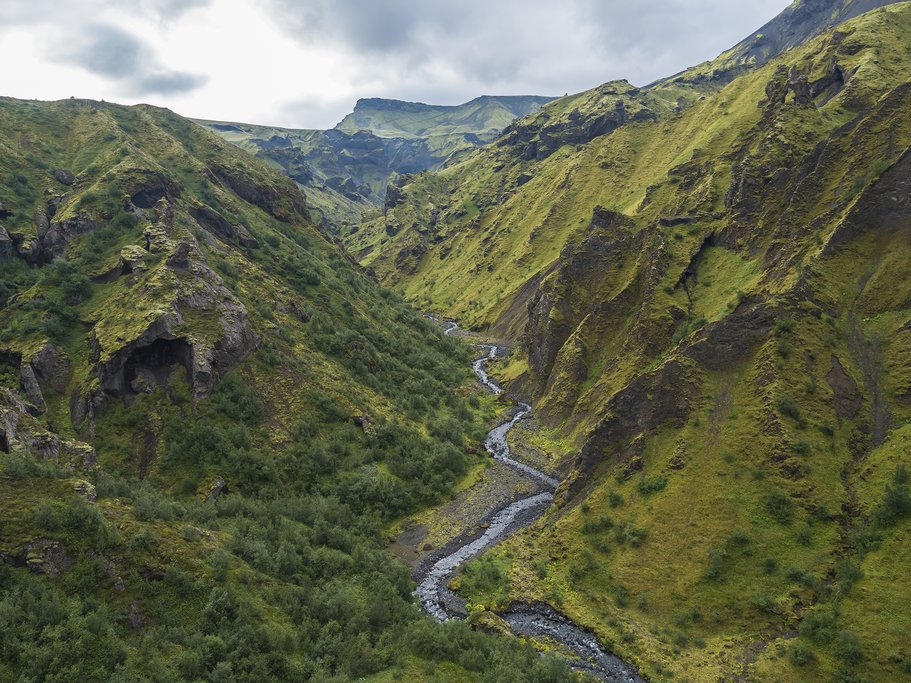 The lush greenery of Thorsmörk