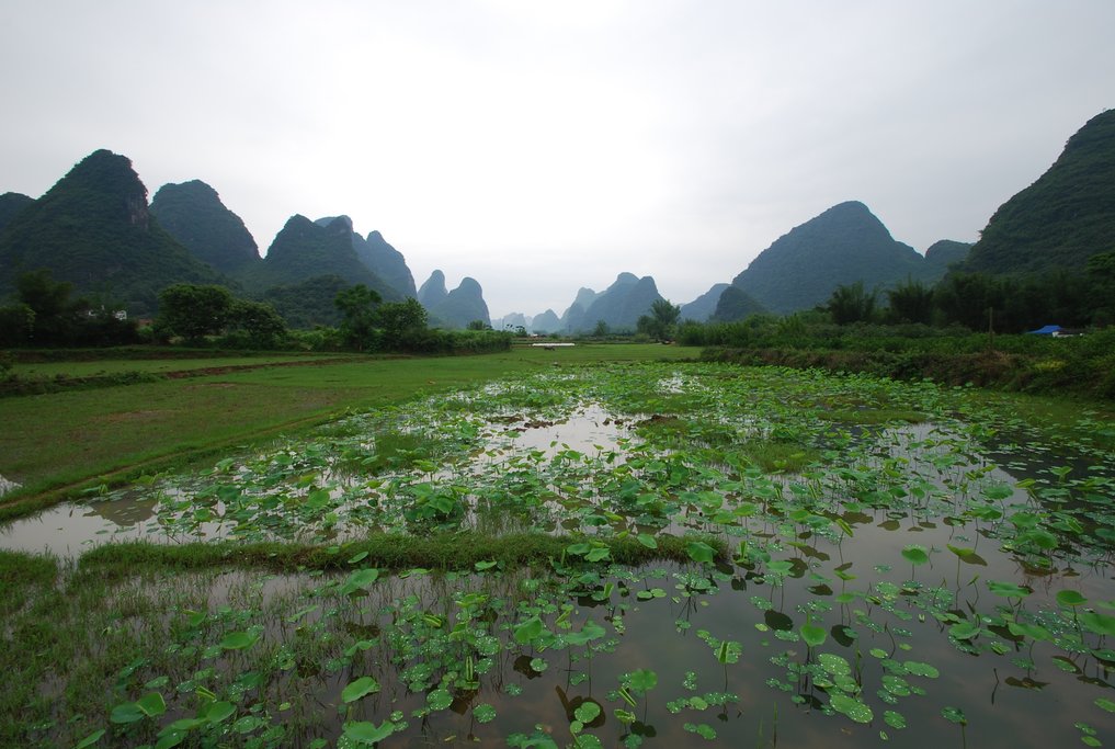 The Yangshuo countryside is one of the most beautiful in China