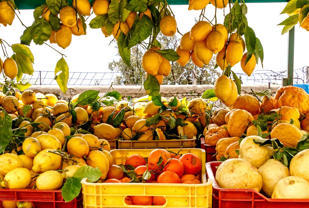 Lemons, a staple of the Amalfi Coast