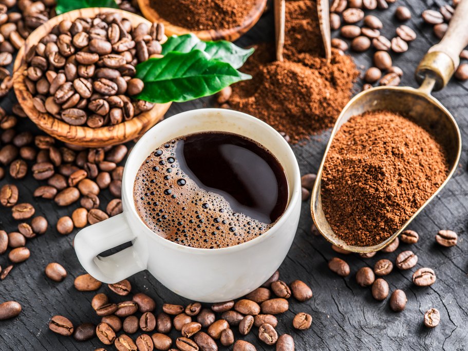 Learn about the coffee harvesting process, from farm-to-cup