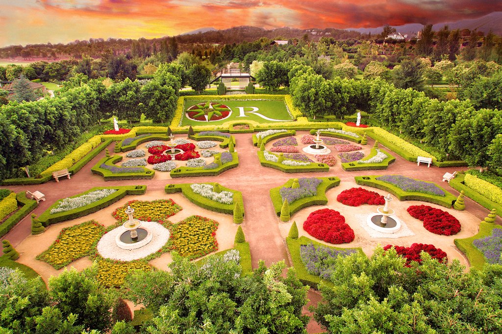 Rose Garden at Twilight
