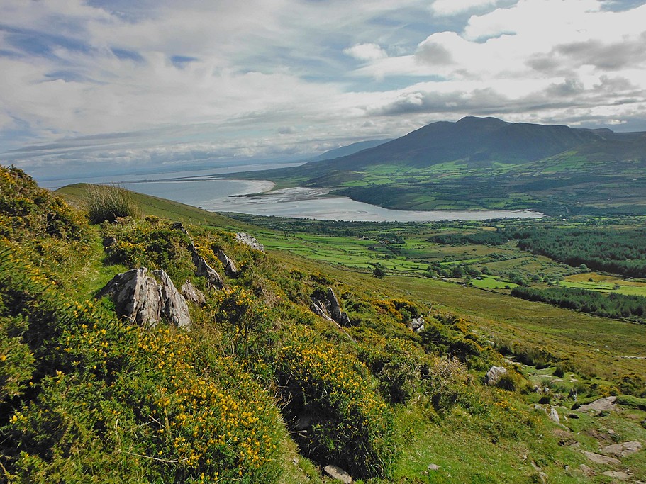 Bay of Tralee.