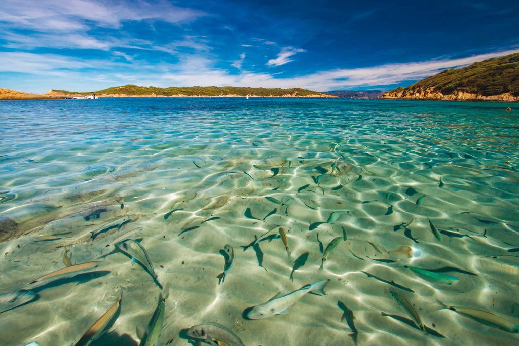 Port Cros