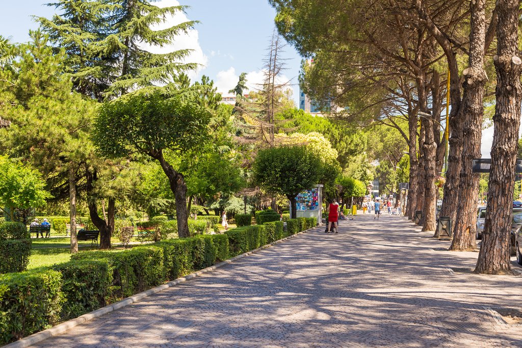 Shaded avenue in downtown Tirana