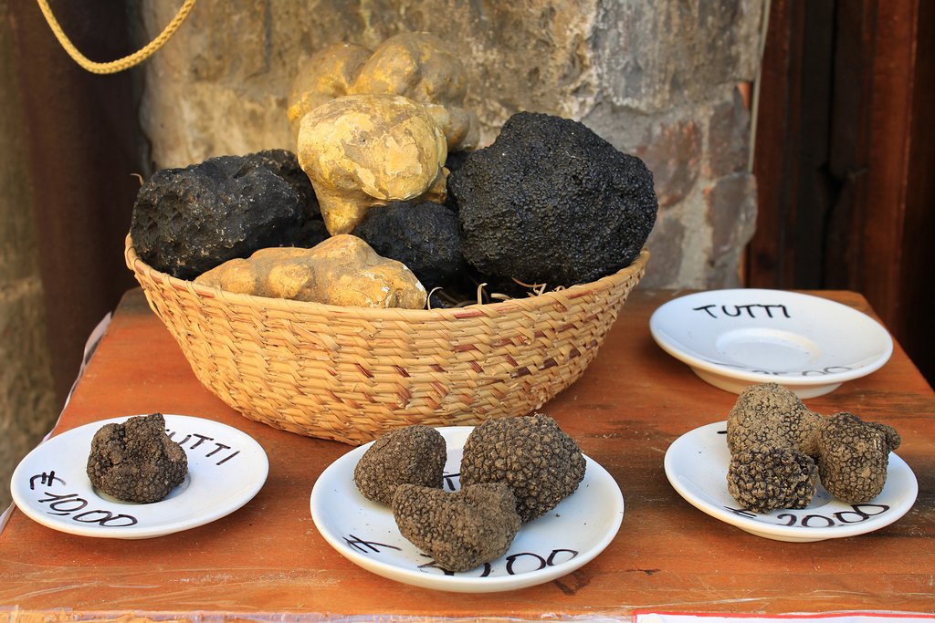 Truffles varieties on display in a local market.