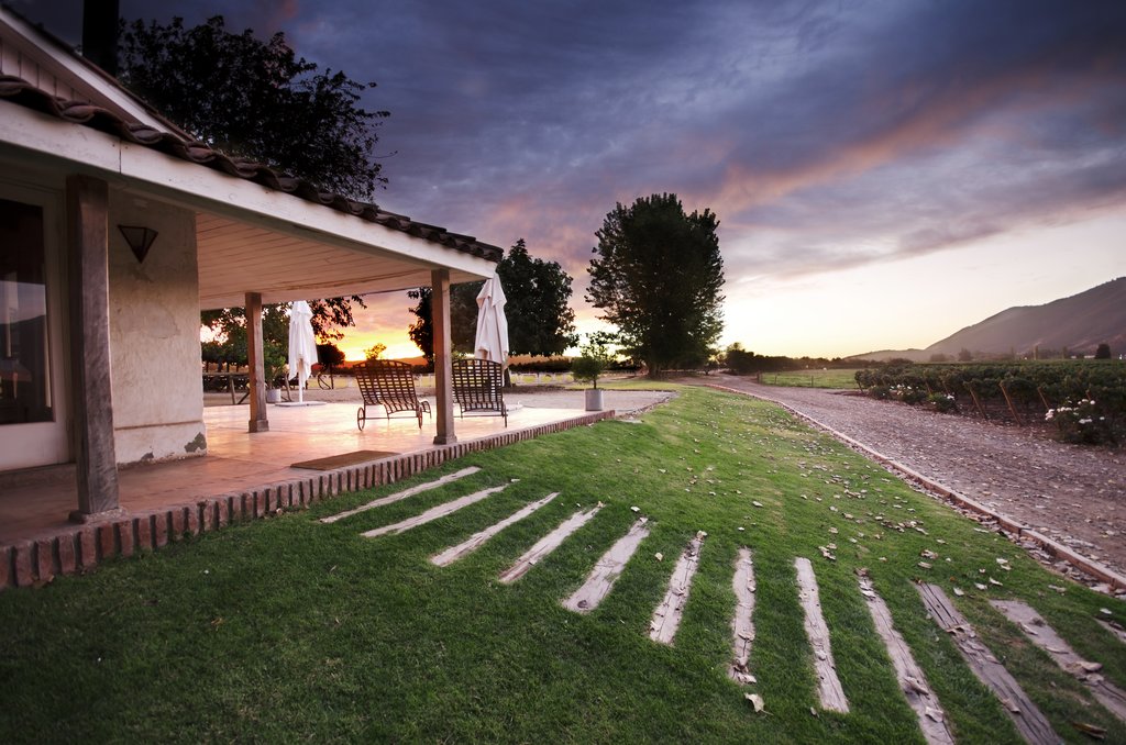 Sunset in the vineyards