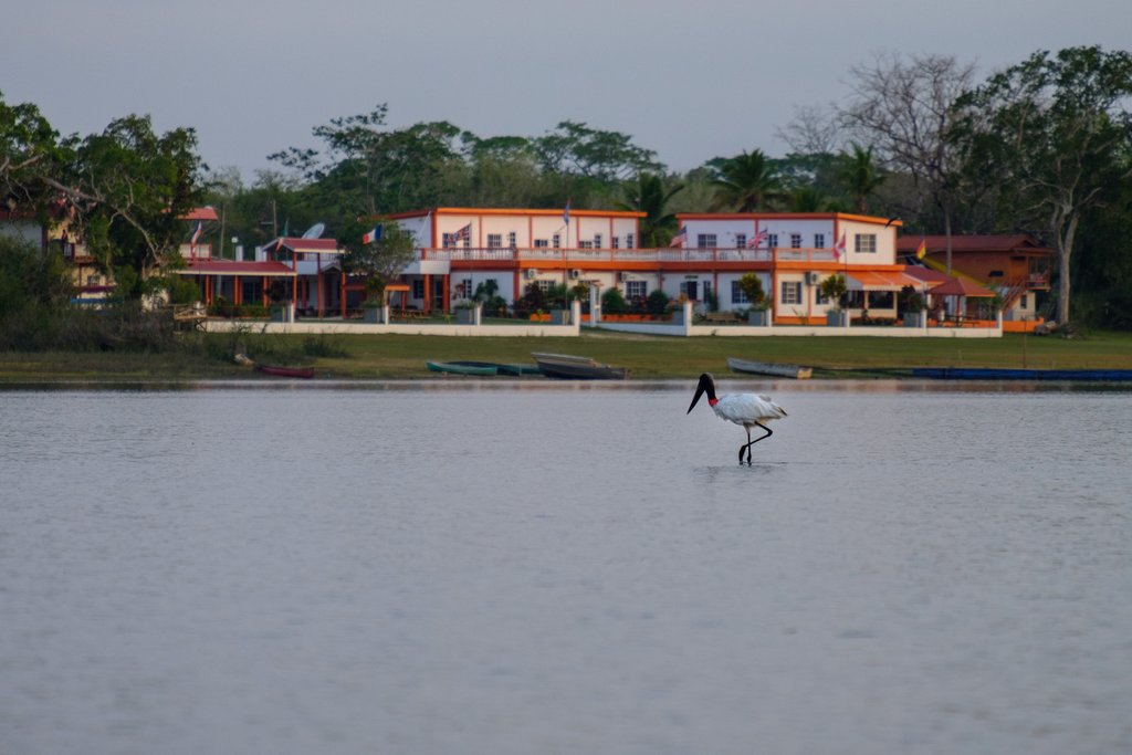 A view of the lodge in Crooked Tree