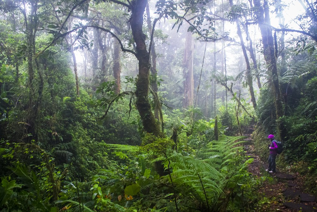 Hiking in the Monteverde Cloud Forest Reserve
