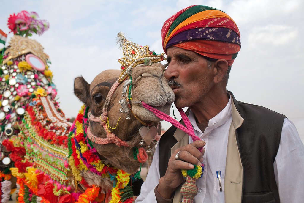 Pushkar Camel Fair, Rajasthan, India