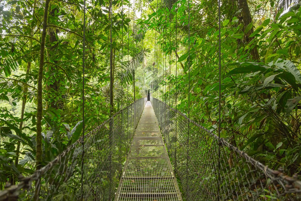 Mistico Hanging Bridges Park