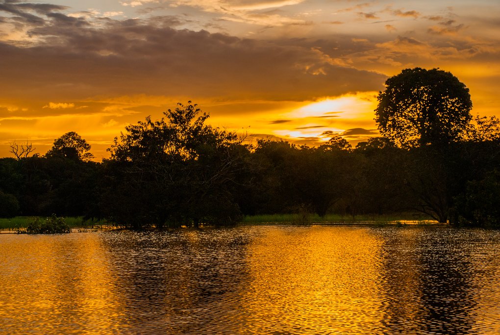 Beautiful sunset in Manaus, Amazon Jungle