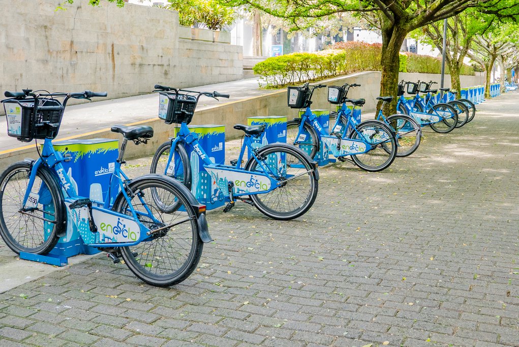 After your tour, explore the city on your own with a city bike.