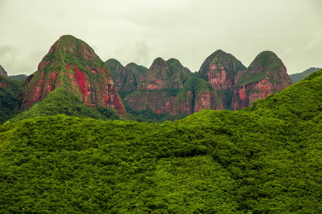 Amboró National Forest