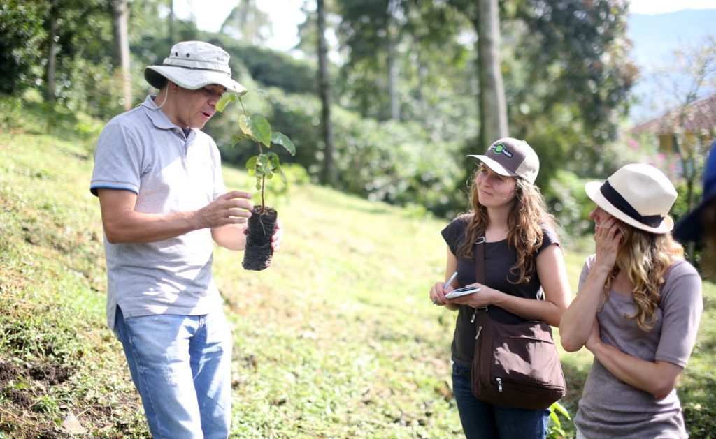 On a coffee tour