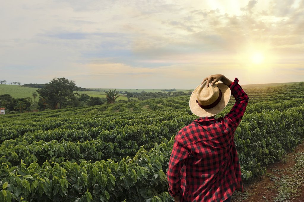 Bid the beauty of Colombia's Coffee Region farewell.