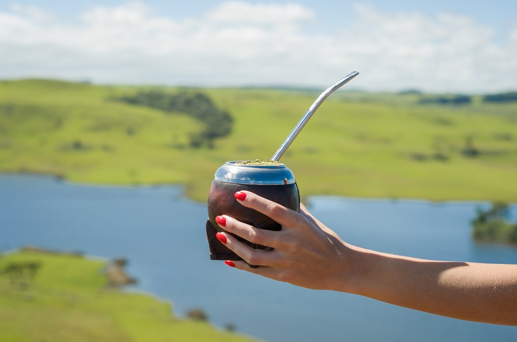 Tour a yerba mate farm